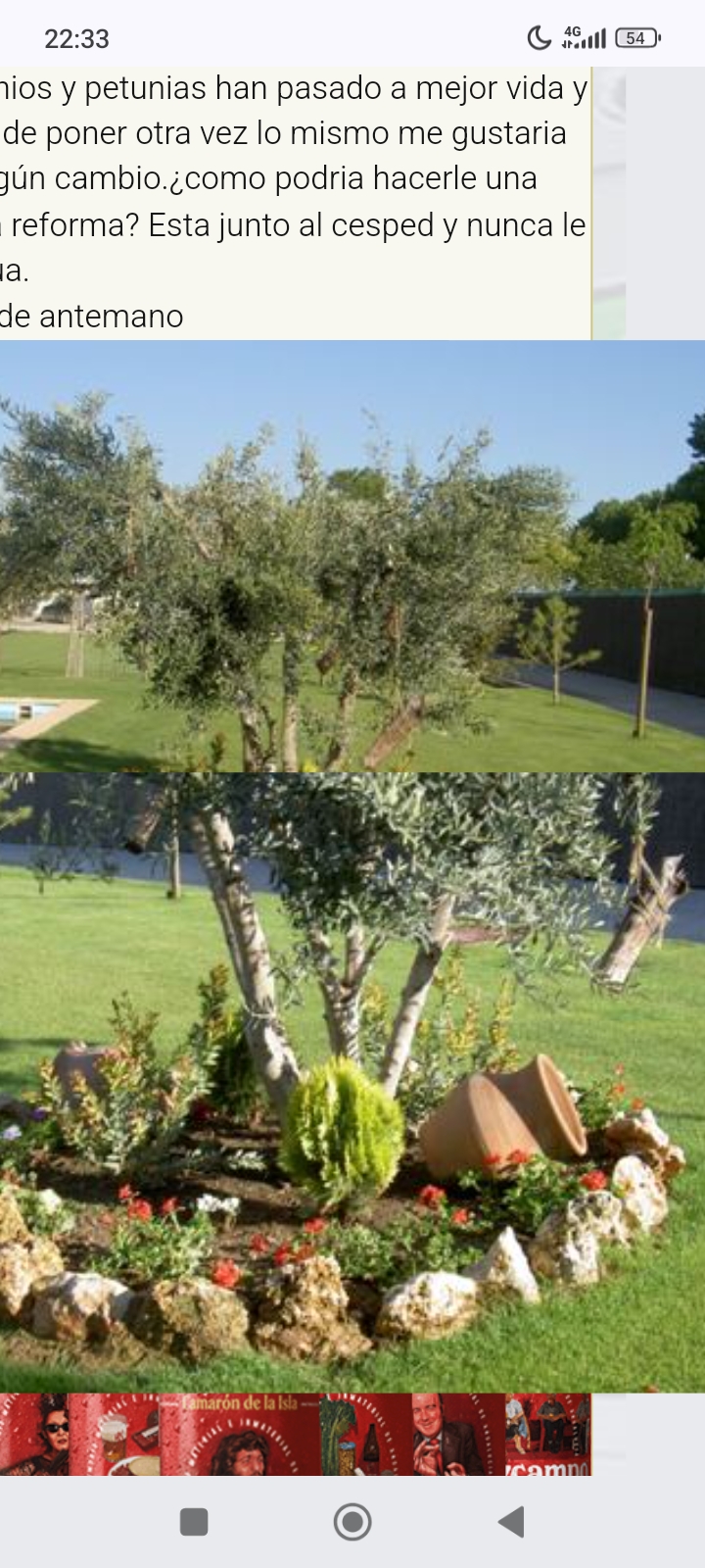 Plantas y flores